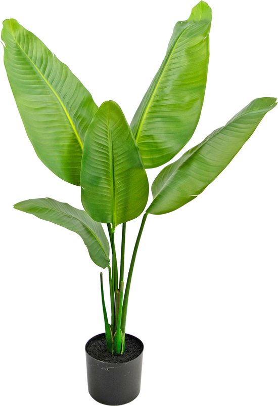 Foto: Kunstplant strelitzia 90 cm real touch