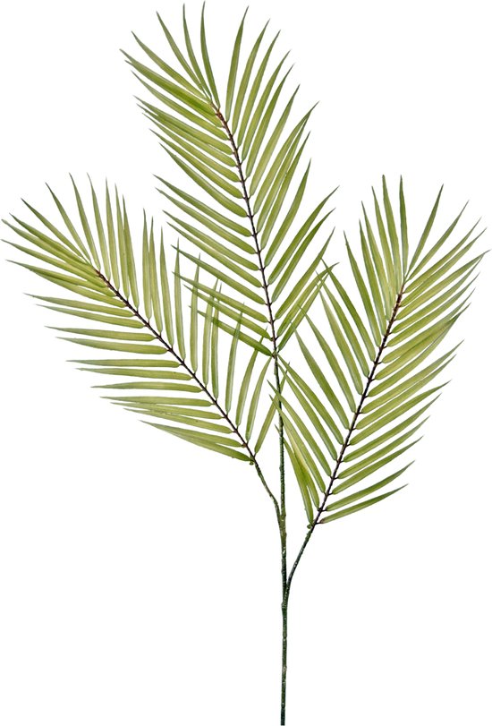 Greenmoods Kunstplanten - Kunstplant - Kunsttak - Varen - Zijde - Groen - 101 cm
