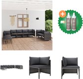 vidaXL 10 delige Loungeset met kussens poly rattan grijs Tuinset Inclusief Onderhoudsset