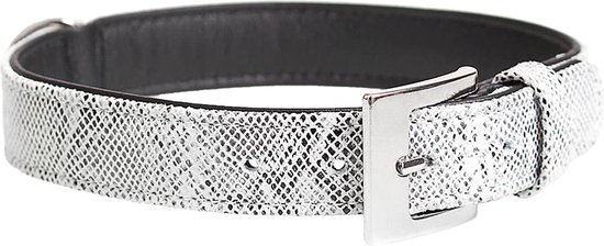 Duvoplus - Halsband Voor Dieren - Hond - Trendy Leder Halsband 37-43cm/19mm Grijs - 1st