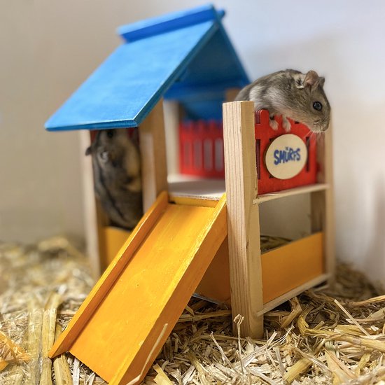 Knaagdierenhuisje - De smurfen speeltuin - Afmetingen: 25x20x21cm - Duvo