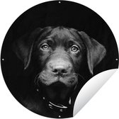 Tuincirkel Close-up labrador puppy tegen zwarte achtergrond in zwart-wit - 150x150 cm - Ronde Tuinposter - Buiten