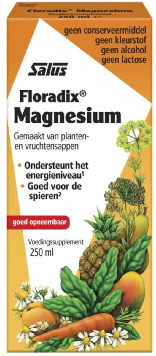 Goedkoopste Salus Floradix Magnesium – Voor energie en spieren – Vloeibare magnesiummix van planten- en vruchtensappen – 250 ml