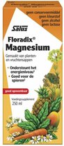 Salus Floradix Magnesium – Voor energie en spieren – Vloeibare magnesiummix van planten- en vruchtensappen – 250 ml