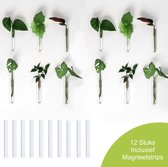 Stekstation - Set van 12 - 15cm - Zelfklevend / Magnetisch ophangsysteem - Glazen vaasjes - Droogbloemen - Hydrocultuur - Hydroponie - Reageerbuisjes - Magneet - Zonder boren - Stek vaasjes - Steklab