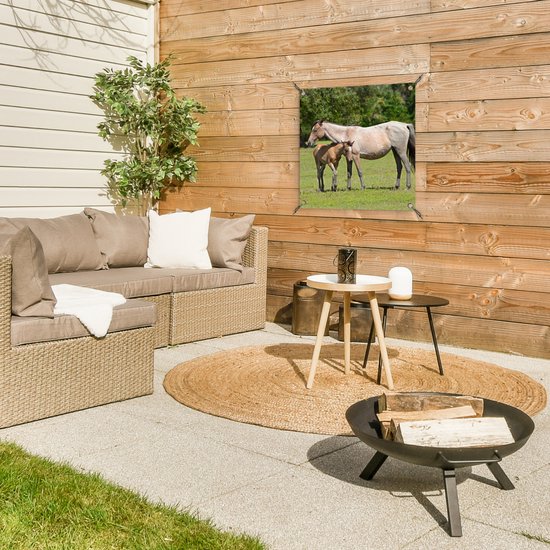 Posters de jardin Paarden - Herbe - Ombre - 50x50 cm - Toile de jardin - Affiche extérieure
