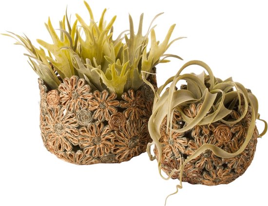 WinQ Mand Abaca Set 2 stuks- 24cm en 17 cm dia- gevlochten bloem motief- plantmand/ broodmand/ fruitmand