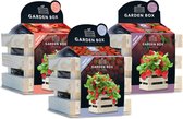 Baza Gardenbox Set Aardbeien 1 set - Moederdag cadeau