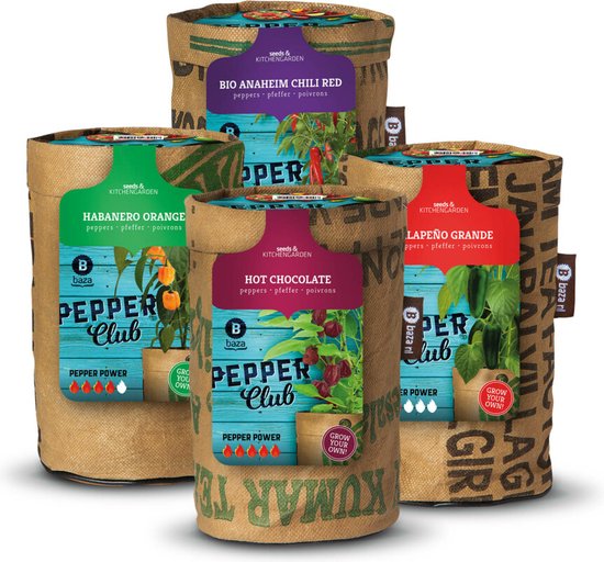 4x Cultiver les piments des jardins de la ville