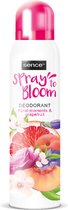 Sence Deodorant Floral & Grapefruit - 4 x 150 ml - Voordeelverpakking