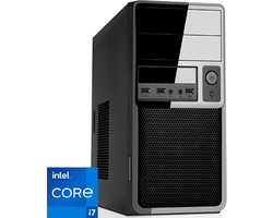 Intel Desktop PC met Core i7 12700 - 32GB RAM - 2000GB NVMe M.2 SSD - WiFi - Bluetooth - Windows 11 Pro (DT-372285)