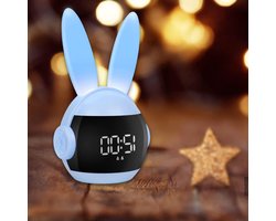 de duurste slaaptrainer