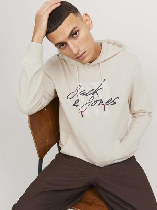 Jack & Jones-Sweater--Moonbeam-Maat M