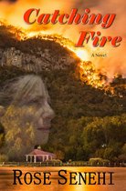 A Blue Ridge Series Novel 6 - Catching Fire