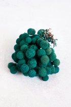 Couronne - Decoratiemateriaal 'Platan Balls' (250gr, Turquoise)