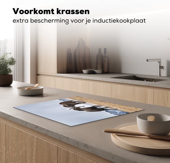 KitchenYeah® Inductie beschermer 65x52 cm - Olifant - Dieren - Vlakte - Natuur - Kookplaataccessoires - Afdekplaat voor kookplaat - Inductiebeschermer - Inductiemat - Inductieplaat mat