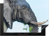 KitchenYeah® Inductie beschermer 71x52 cm - Olifant - Dieren - Grijs - Natuur - Kookplaataccessoires - Afdekplaat voor kookplaat - Inductiebeschermer - Inductiemat - Inductieplaat mat