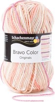 Schachenmayr Bravo Color 50 Gram - 2106