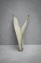 Couronne - Decoratief palm blad 'Palm Sing Head' (Light green)