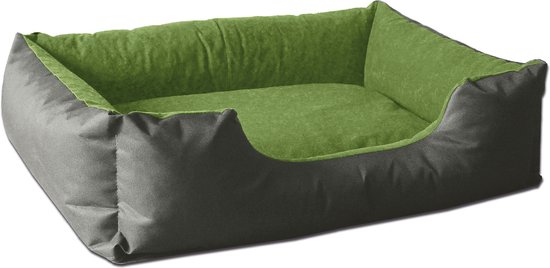 BedDog