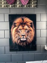 Lion couple schilderij op plexiglas 80x120cm