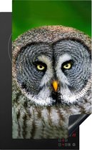 KitchenYeah® Inductie beschermer 30x52 cm - Vogel - Uil - Dieren - Bruin - Portret - Kookplaataccessoires - Afdekplaat voor kookplaat - Inductiebeschermer - Inductiemat - Inductieplaat mat