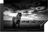KitchenYeah® Inductie beschermer 81x52 cm - Liggende IJslandse paarden in het gras - zwart wit - Kookplaataccessoires - Afdekplaat voor kookplaat - Inductiebeschermer - Inductiemat - Inductieplaat mat