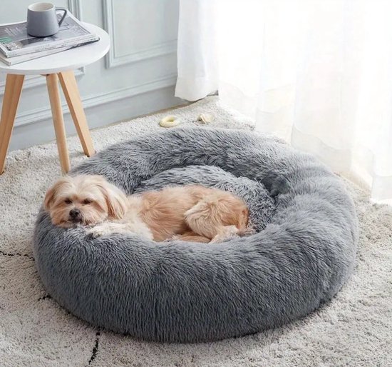 KIKIATA Pompoen kattenbed, Halloween kattenbed, kattenbed voor binnen