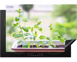 KitchenYeah® Inductie beschermer 77x51 cm - Verse pepermunt op de vensterbank in een bloempot - Kookplaataccessoires - Afdekplaat voor kookplaat - Inductiebeschermer - Inductiemat - Inductieplaat mat