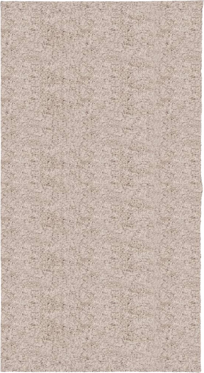 vidaXL Vloerkleed - PAMPLONA - shaggy - hoogpolig - modern - 80x150 - cm - beige