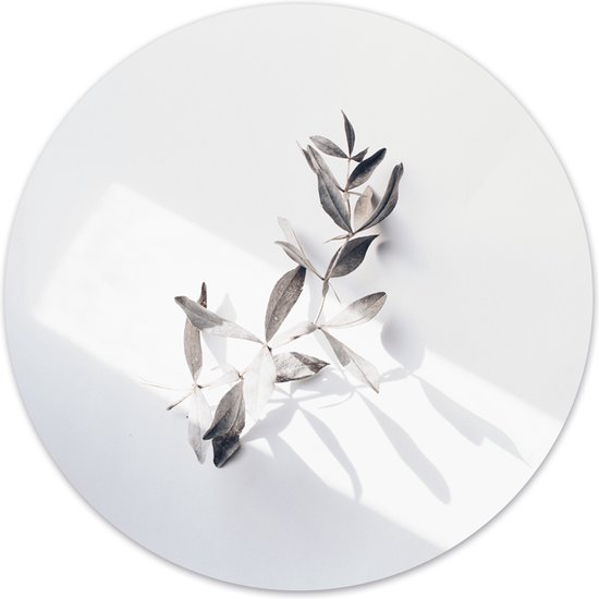 Label2X - Cercle mural - Twigly - Ø 30 cm - Forex - Cercle mural nature - Cercle mural rond - Décoration murale salon - Cercle mural - Cercle mural intérieur - Enseigne murale ronde - Cercle mural - WallCircle