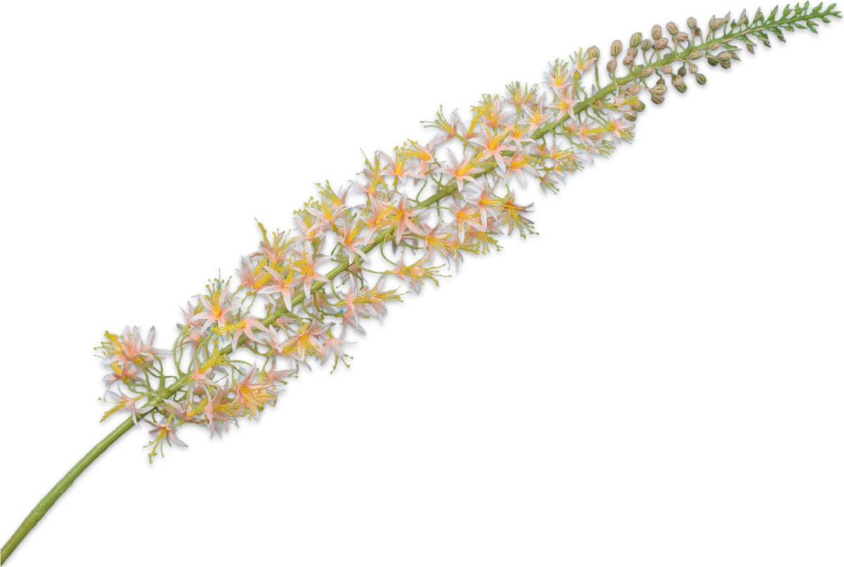Silk-ka Kunstbloem-Zijden Bloem Eremurus Steel Perzik Geel 119 cm