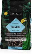 LECHUZA-PALMPON 25 litres - Substrat végétal en pot organo-minéral - Convient à tous les palmiers et plantes méditerranéennes