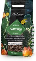 LECHUZA-CACTUS SPON 6 litres - Substrat minéral Zuiver - Convient à tous les cactus et plantes grasses