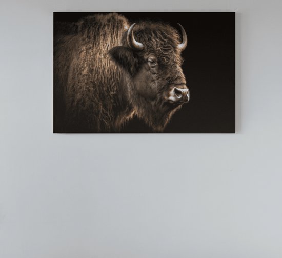 Canvas Schilderij Dieren - Bizon - Natuur - Abstract - 90x60x2 cm