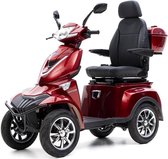 Nipponia 4Fast Red 25km/h Lithium