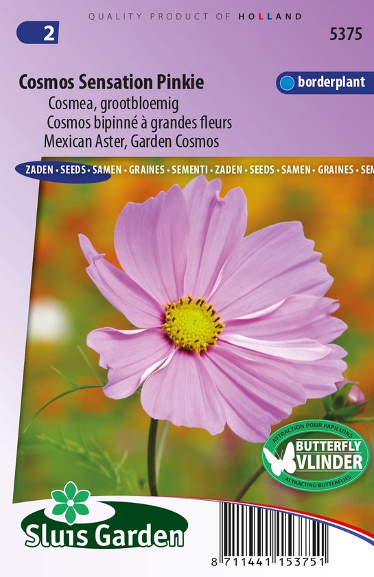 Cosmos (Cosmos bipinnatus) - Cosmea Sensation Pinkie - bipinnatus - Bijen-Vlinders - Snijbloemen