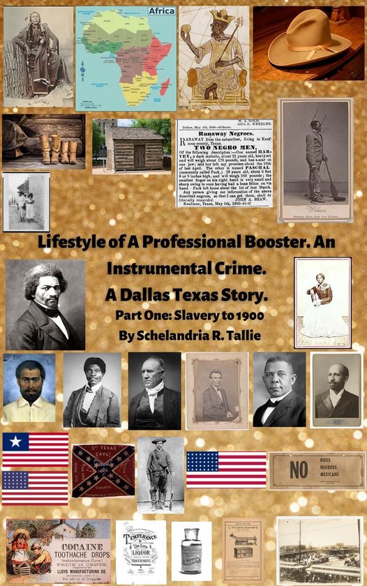 Lifestyle of A Professional Booster. An Instrumental Crime.  ... - cover