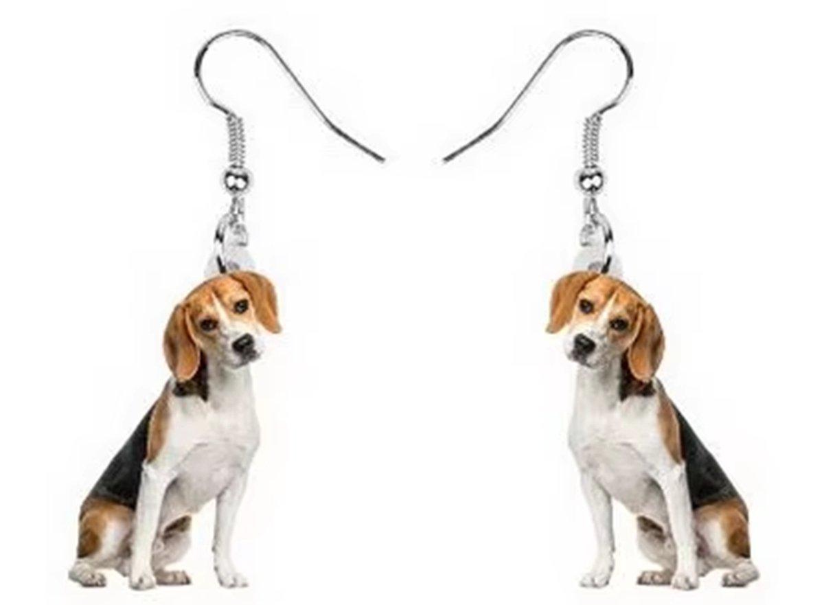 Oorbellen Beagles
