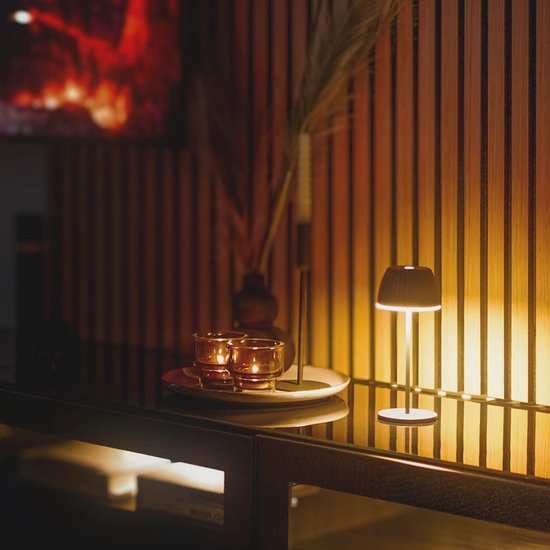 BRILONER Riffle - Mini lampe de table rechargeable - lampe sans fil - intensité variable tactile - pour l'intérieur et l'extérieur - Lauréat du German Design Award 2025 - anthracite - Ø8,5 x 20 cm