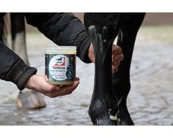 Leovet Cellsius Cooling Gel 600ml