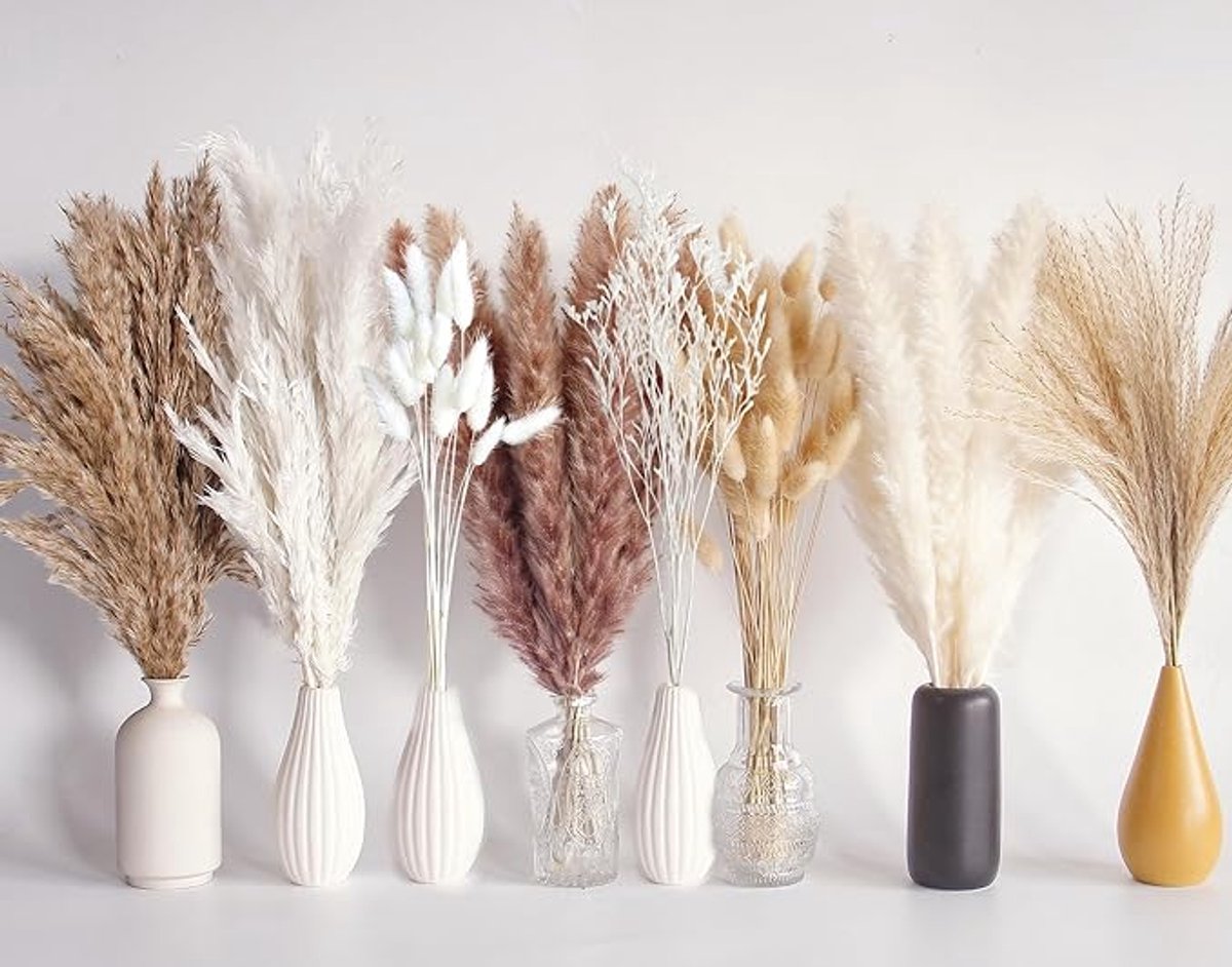 128 stuks gedroogd pampasgras-boeket, boho-tafeldecoratie, Bunny-Tails-droogbloemen, bruin pampasgras, wit pampasgras voor bruiloften, wooncultuur, rustieke feestjes en babyshowerdecoraties