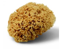 Natuurspons