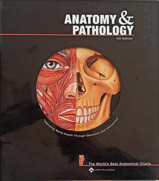 Anatomy And Pathology