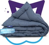 Slaapspeciaal eazydekbed 240x220 cm - Grijs - Dekbed Zonder Overtrek, Extra Lang, Luxe Gelvezels, Anti-Allergisch & Perfect Voor Elk Seizoen