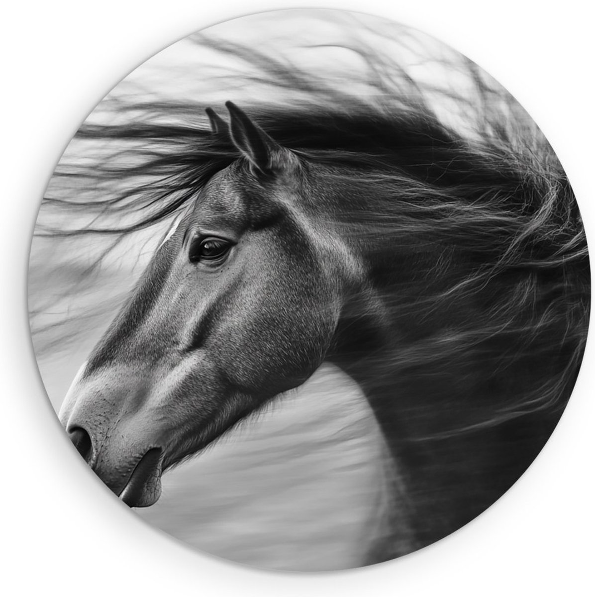 Saammp Muurcirkel Hout - Manen in de wind - Paard - Dieren - Portret - Ø 40 - Wandcirkel - Wanddecoratie Cirkel - muurdecoratie Woonkamer - Slaapkamer decoratie - Rond Schilderij