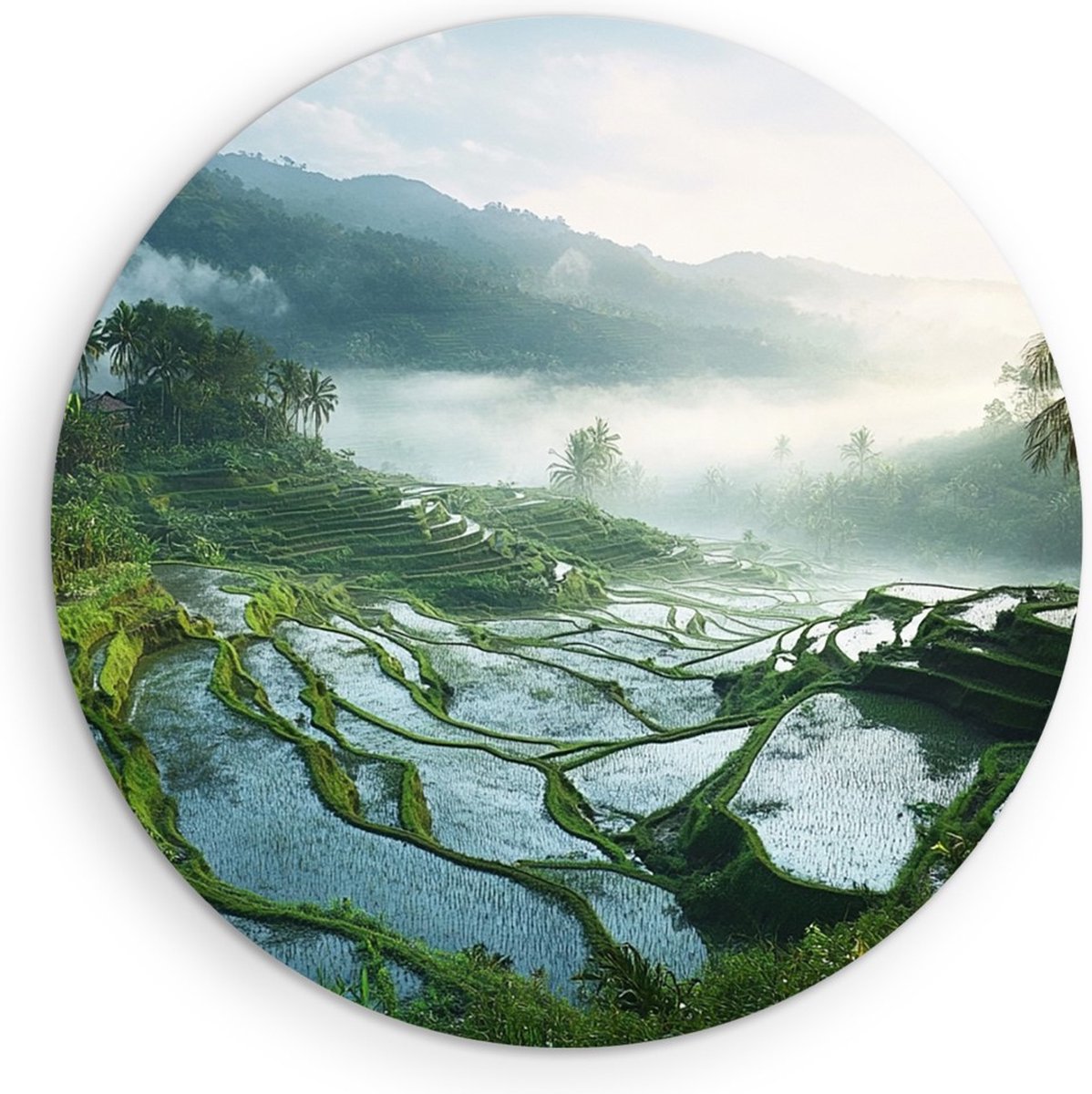 Saammp Muurcirkel Hout - Natuur - Rijstvelden - Bali - landschap - Ø 40 - Wandcirkel - Wanddecoratie Cirkel - Muurdecoratie Woonkamer - Slaapkamer decoratie - Rond Schilderij