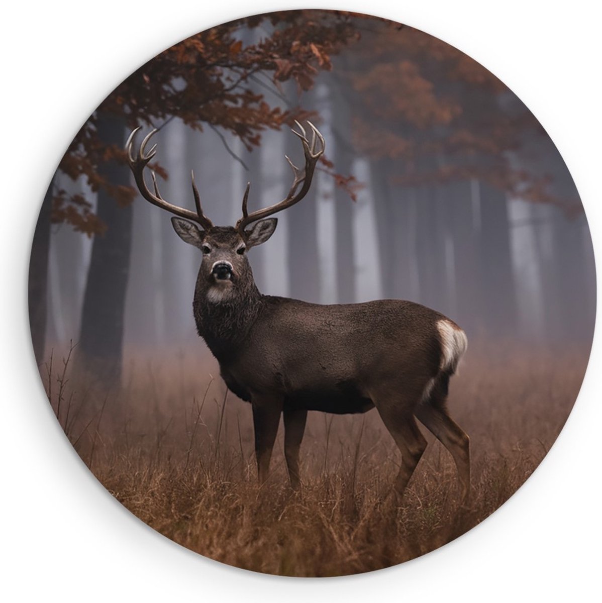 Saammp Forex Muurcirkel - Hert bij een bos tijdens de herfst - Natuur - Dieren - Ø 50 - Wandcirkel - Wanddecoratie Cirkel - Muurdecoratie Woonkamer - Slaapkamer decoratie - Rond Schilderij