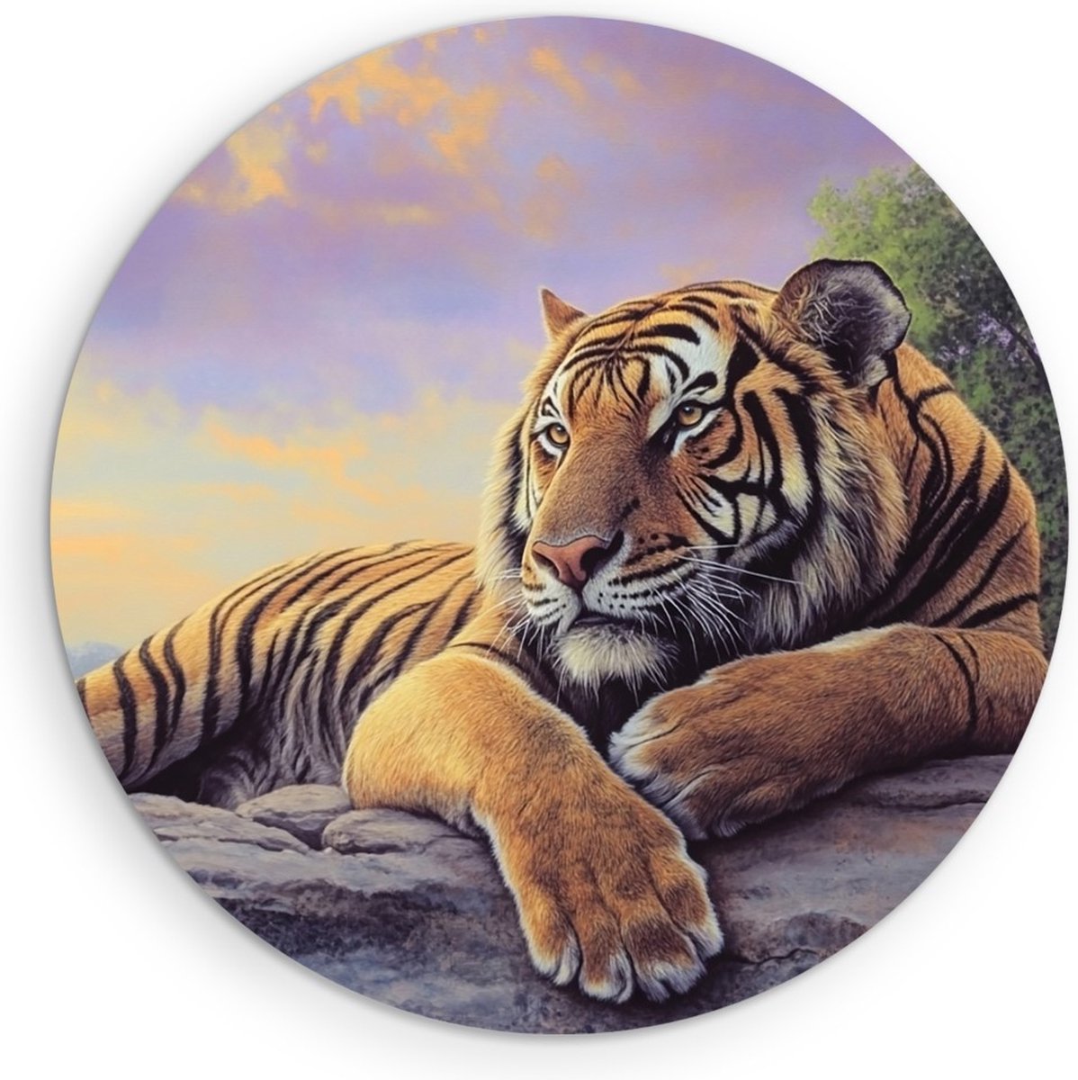 Saammp Forex Muurcirkel - Jonge Tijger op rots - Natuur - Dieren - Ø 30 - Wandcirkel - Wanddecoratie Cirkel - muurdecoratie Woonkamer - Slaapkamer decoratie - Rond Schilderij