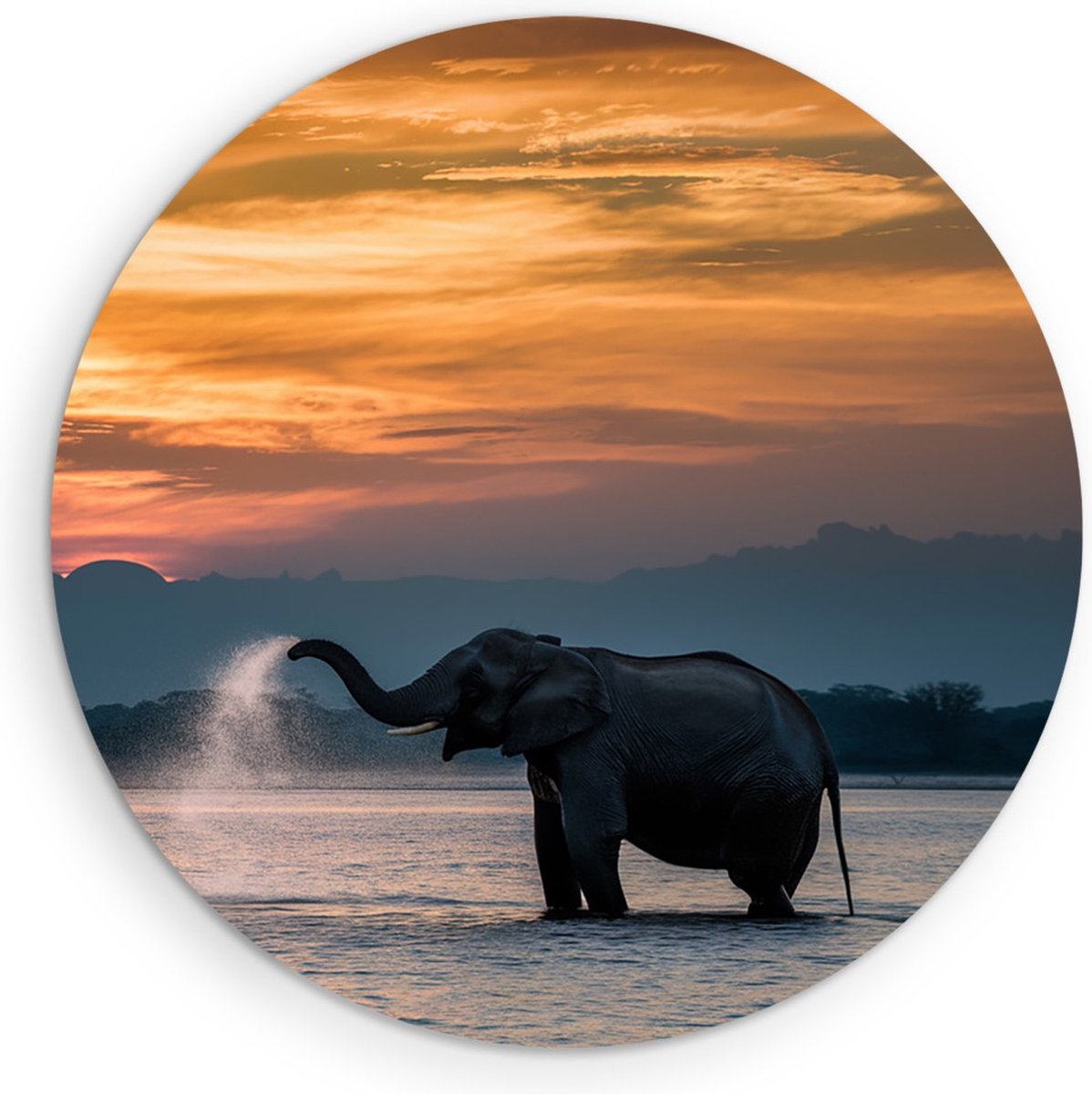 Saammp Forex Muurcirkel - Olifanten in het water - Afrika - Dieren - Ø 60 - Wandcirkel - Wanddecoratie Cirkel - muurdecoratie Woonkamer - Slaapkamer decoratie - Rond Schilderij
